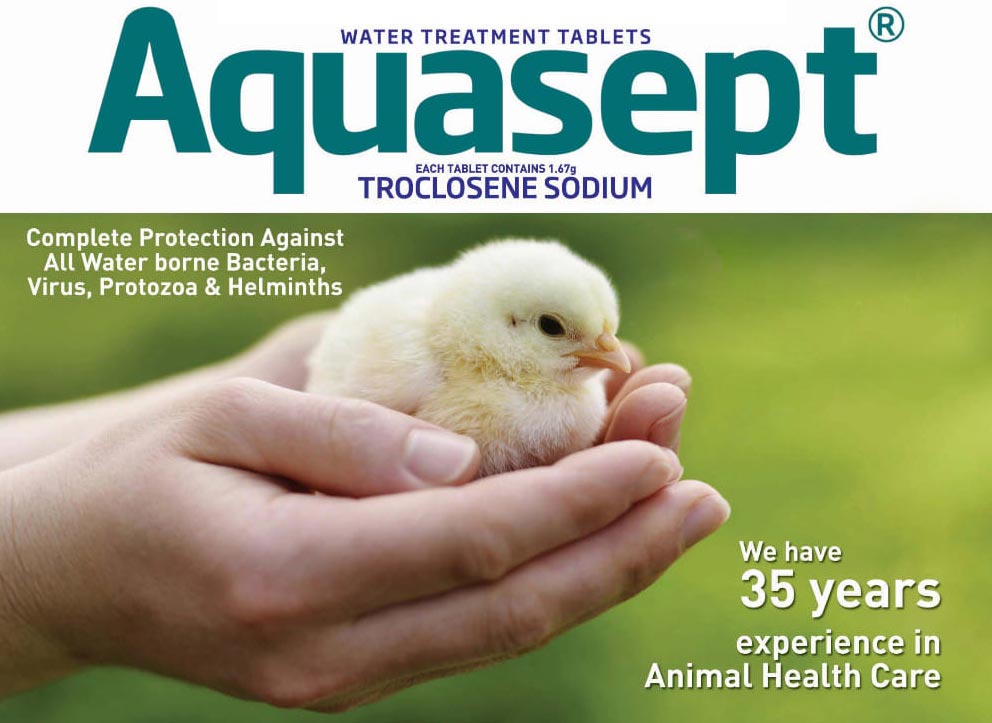 Aquasept Efervesan Dezenfektan Tablet