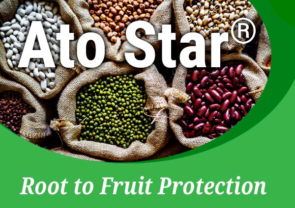 Preservatives & Additives Ato Star
