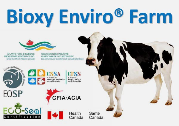 Ruminant Sector Bioxy Enviro Farm