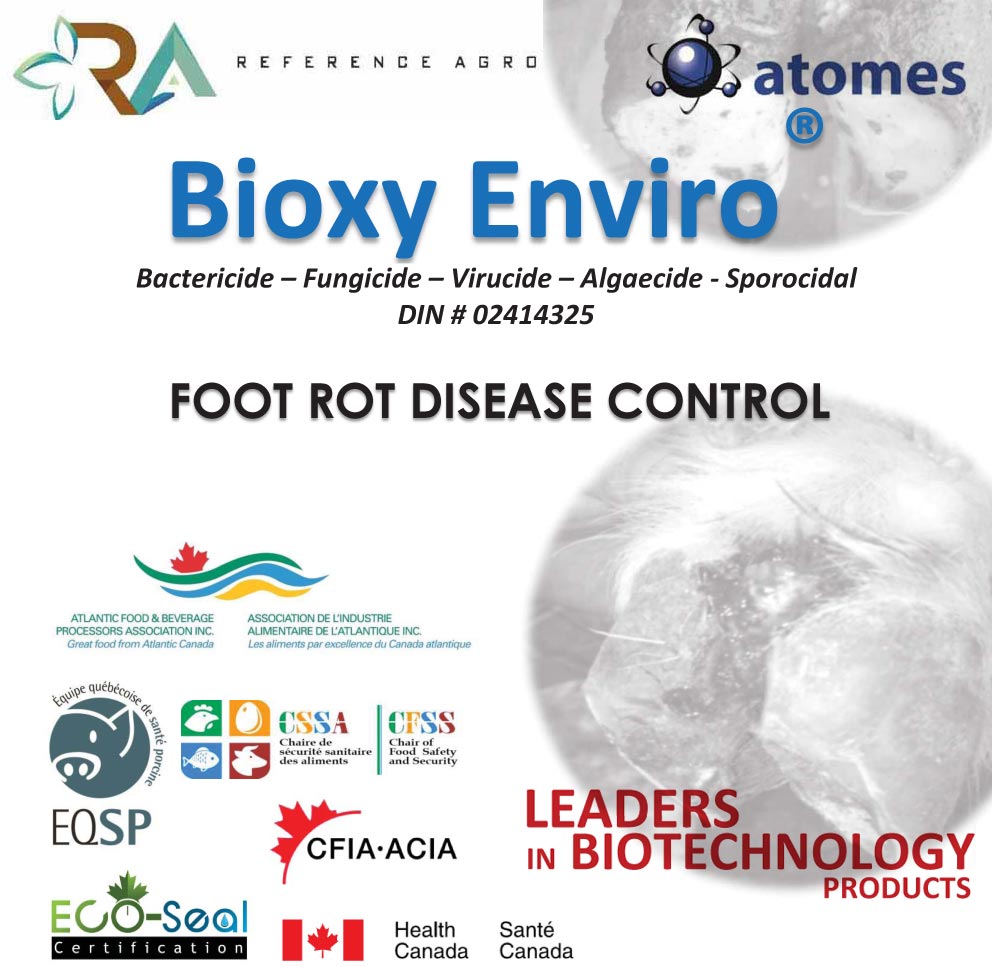 Bioxy Enviro Foot Rot Hastalık Kontrolü