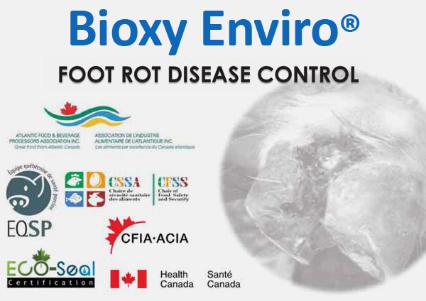 Ruminant Sector Bioxy Enviro Foot Rot