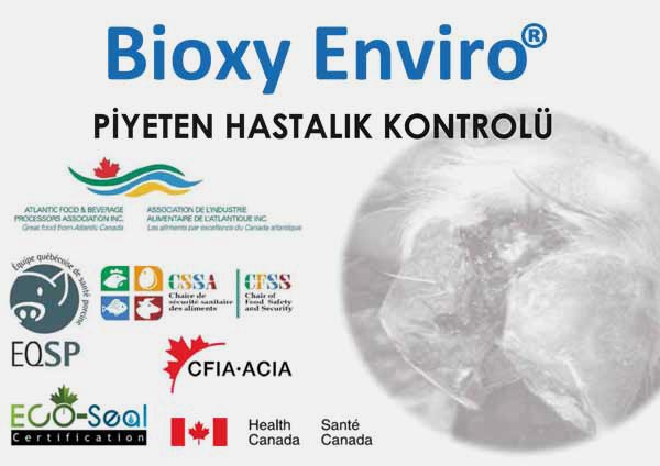 Ruminant Sektörü Bioxy Enviro Piyeten