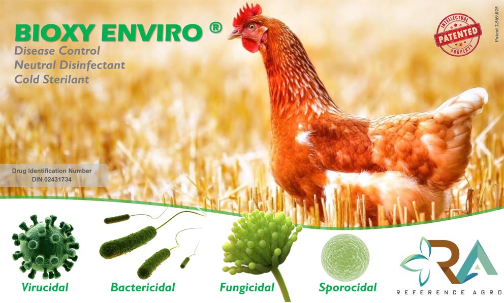 Bioxy Enviro Poultry Broilerde Hayvan Sağlığı Probiyotiği