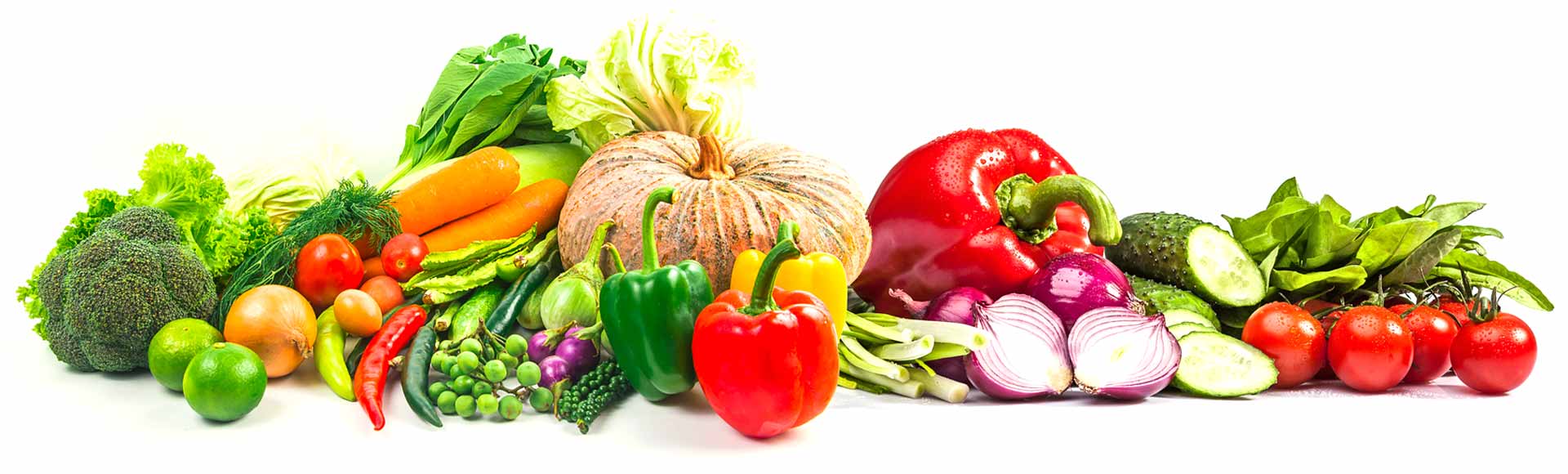 Reference Agro Gıda