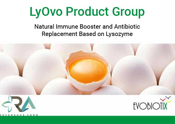 Poultry Sector LyOvo