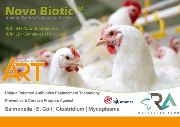 Poultry Sector Novo Biotic Broiler