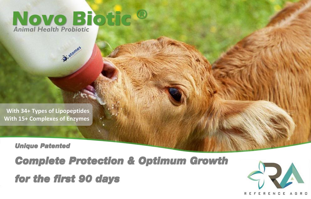 Novo Biotic Calf Hayvan Sağlığı Probiyotiği