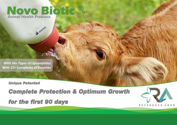 Ruminant Sector Novo Biotic Calf