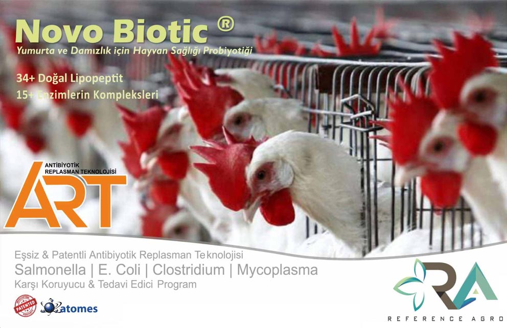 Novo Biotic Layer Yumurta ve Damızlık için Hayvan Sağlığı Probiyotiği