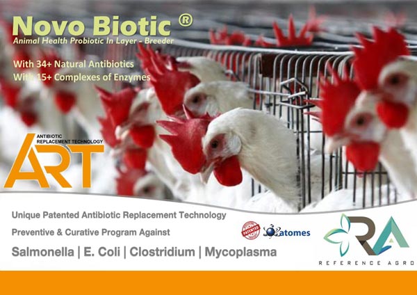 Poultry Sector Novo Biotic Layer