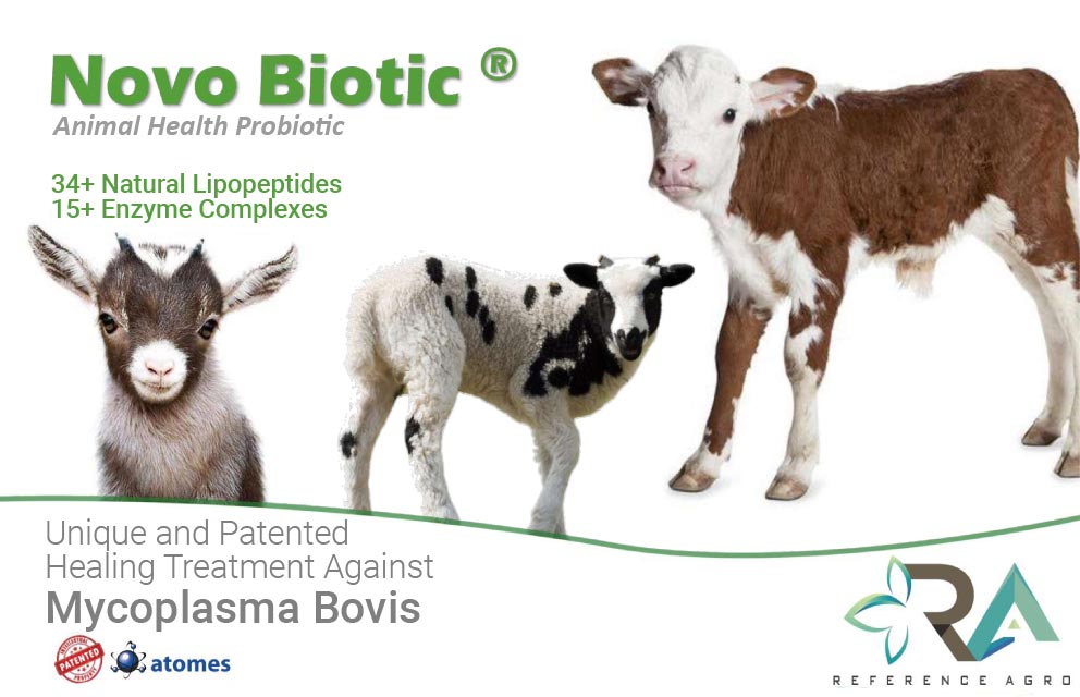 Novo Biotic Mycoplasma Hayvan Sağlığı Probiyotiği