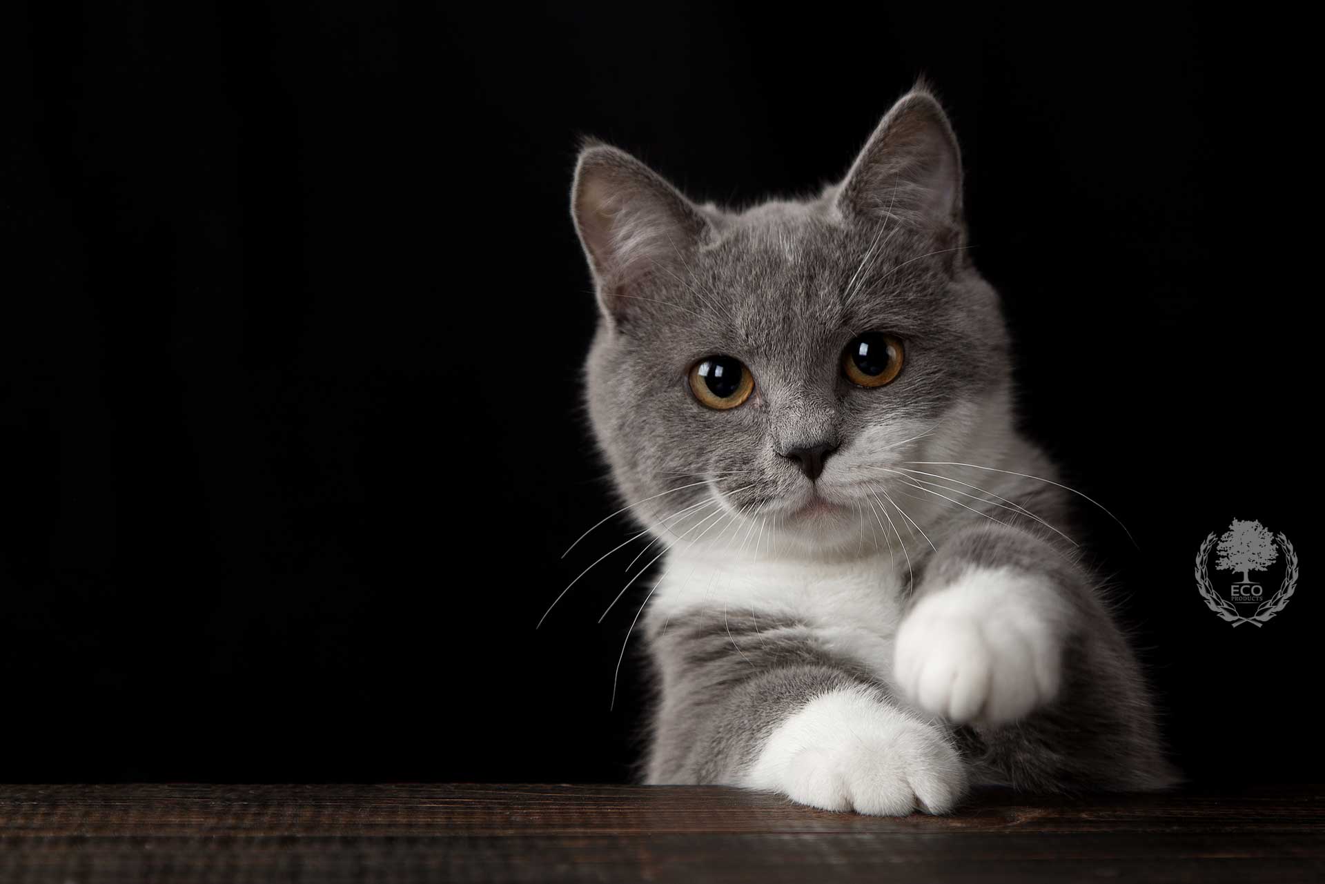 PET SEKTÖRÜ